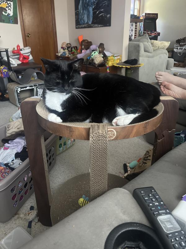 Lazy days in the a/c