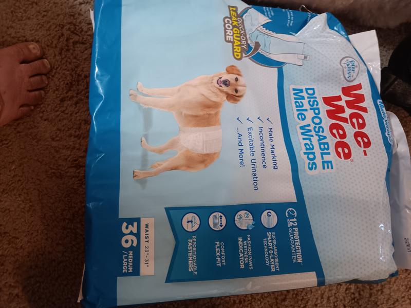 Awful diapers male wraps