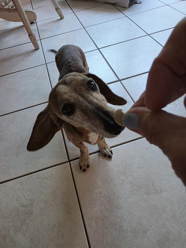 Trying grandpa joe's meatballs,yum yum😄