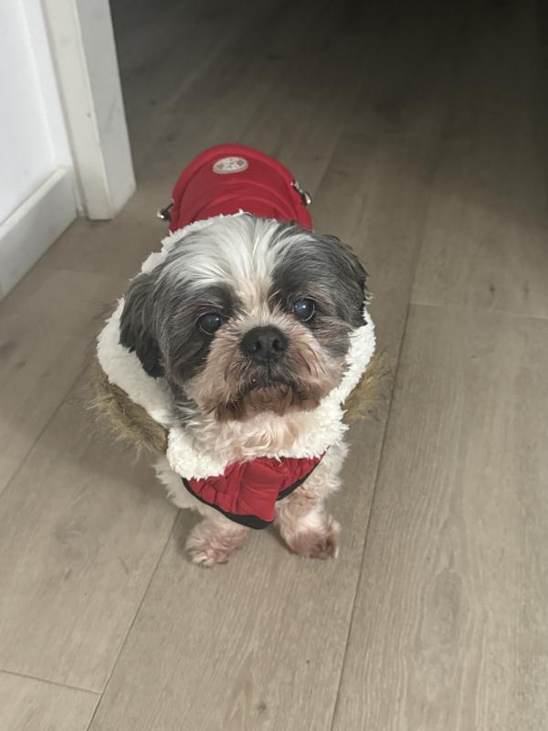 Sammie in Medium