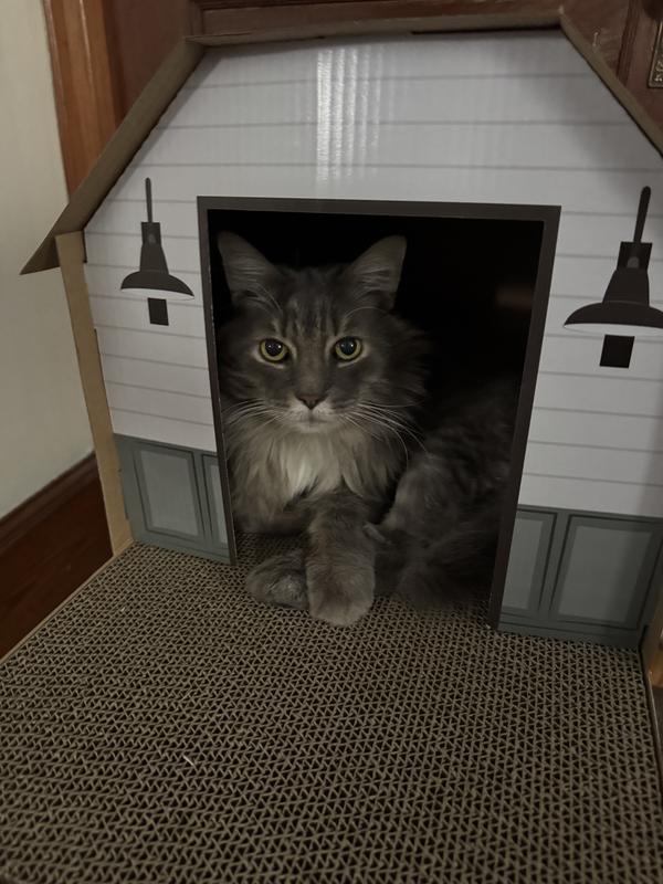 Duffy in his dream home