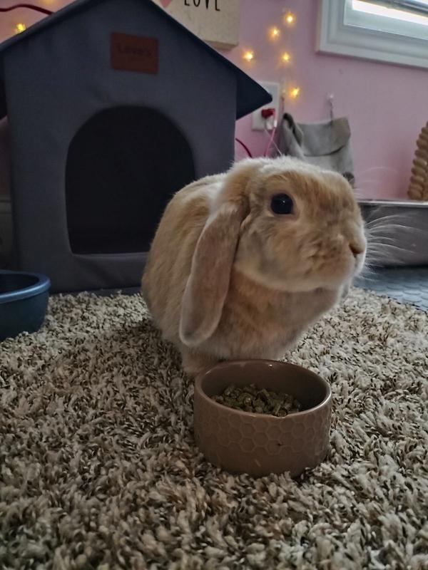 Opal loving her pellets