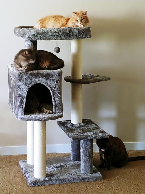 FRISCO 48-in Heavy Duty Faux Fur Cat Tree & Condo, Cream - Chewy.com