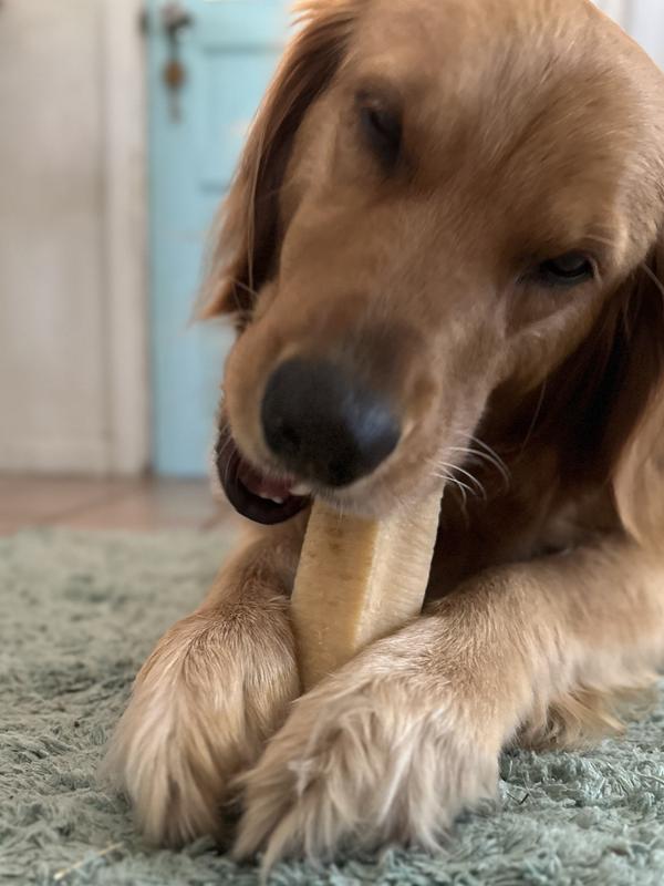 Big enough that she can hold onto it to chew!
