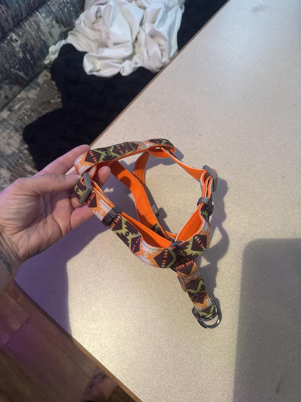 I’m not fond of the loud design but that’s just me, it was extremely cheap and well worth the money!