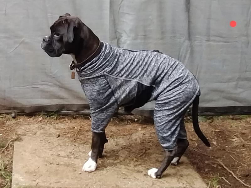 KURGO Stowe Base Layer Dog Sweater, Heather Black, Small