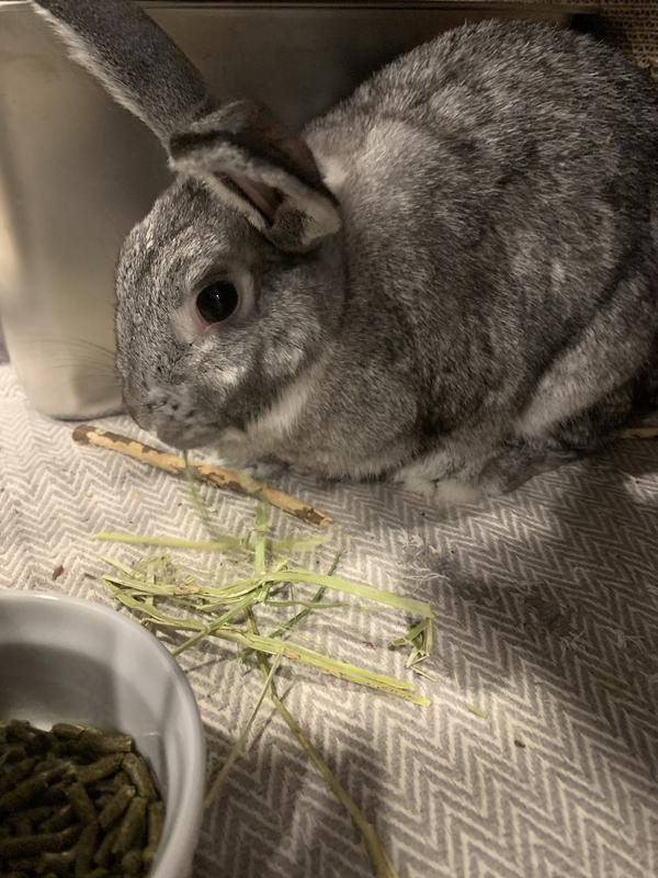 She really enjoyed it!