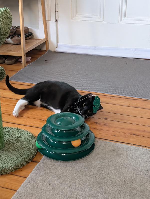 FRISCO Bee & Leaf Cat Tracks Cat Toy with Catnip - Chewy.com