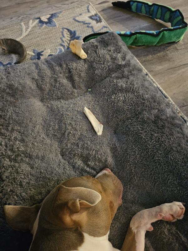 Tired after today's treat