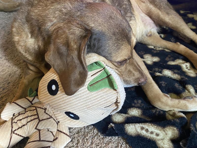 Groot dog clearance toy