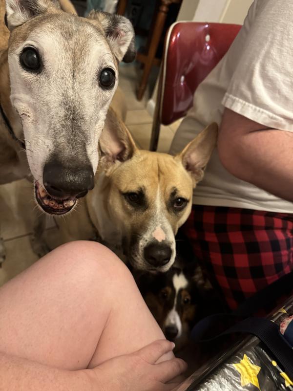 Patiently waiting for chomp’ems