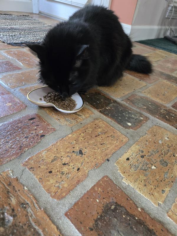 Stella giving it a try