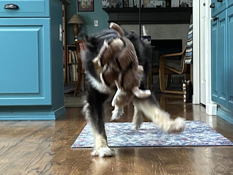 He doesn’t run with new toys. But he did with this one. All good times!