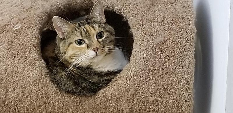 I'm not coming out until you fill my bowl