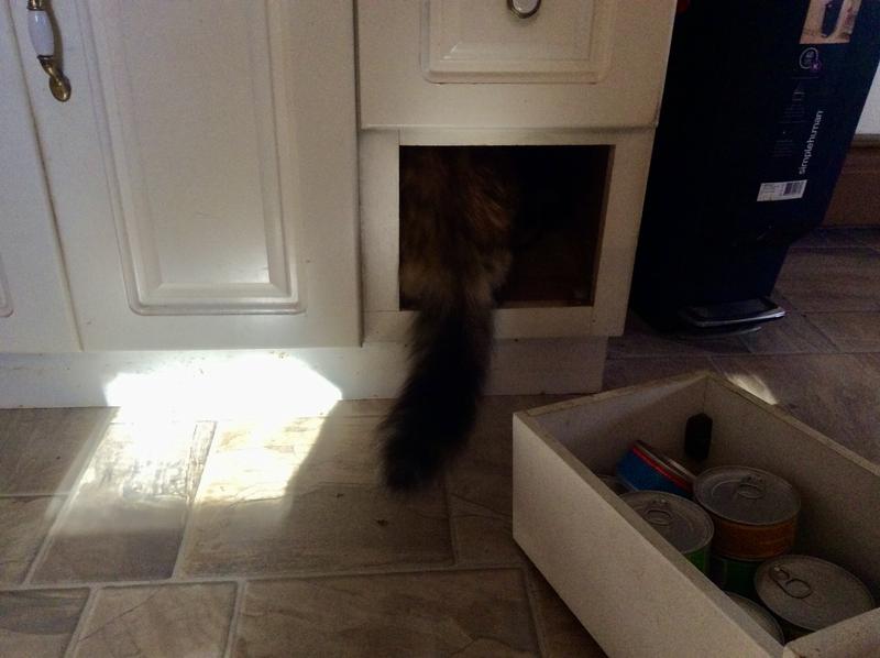 Another way to get to the cans!