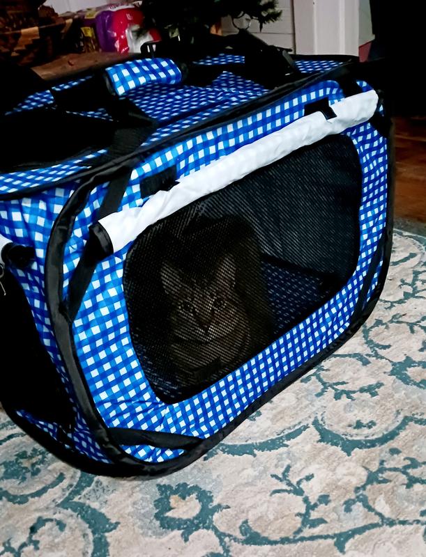 PET FIT FOR LIFE Popup Cat Carrier