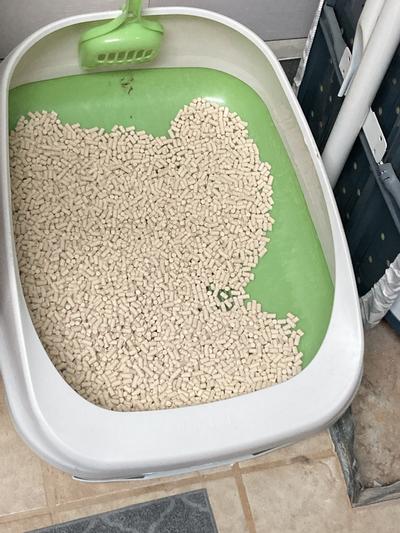 Tidy cats litter box hot sale system