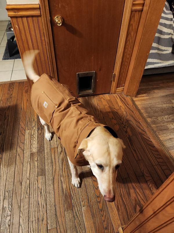 Carhartt Firm Duck Insulated Dog Chore Coat, Deep Wine