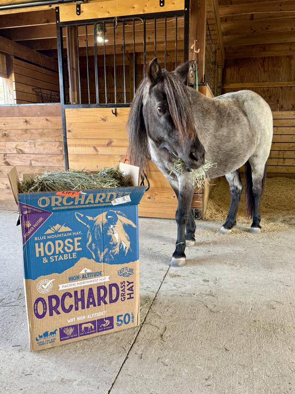 Bluebell says more please!