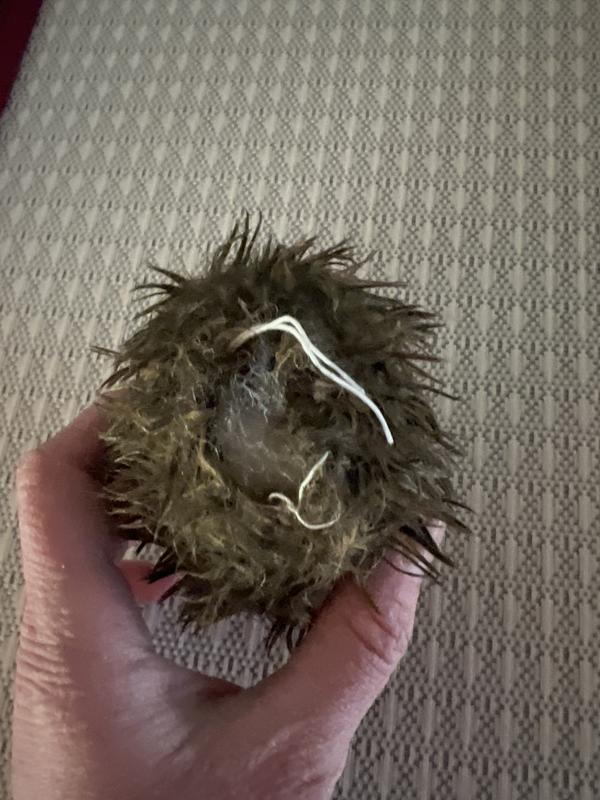 Threads came apart almost immediately