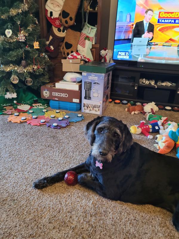 The ball is rarely out of reach