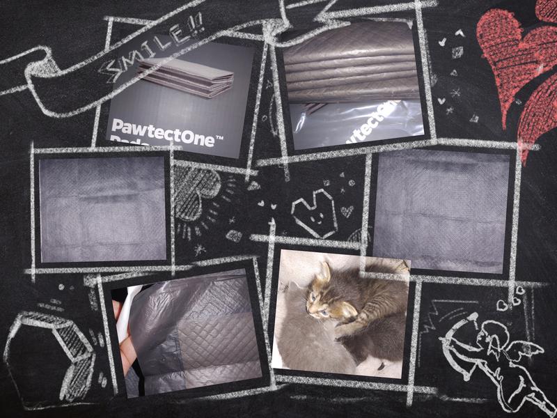 Using Pet Parents PawtectOne Pads is a game changer!