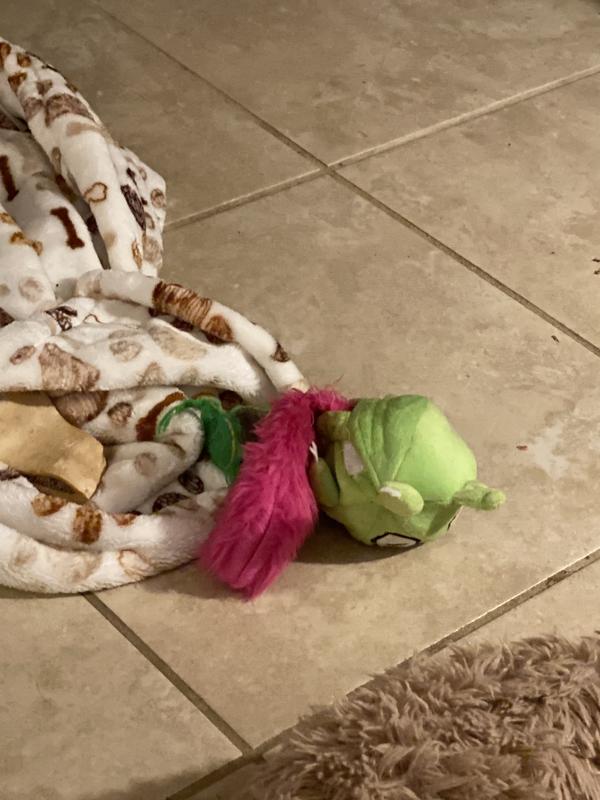 HYPER PET Monster Pal Interactive Plush Dog Toy