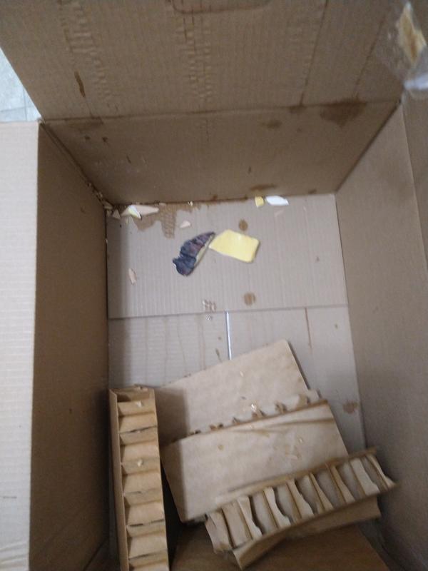 That was the only thing in box that was of the zoo med turtle hut