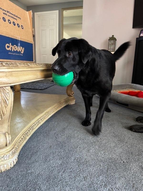 I'm just going to carry this around all day.