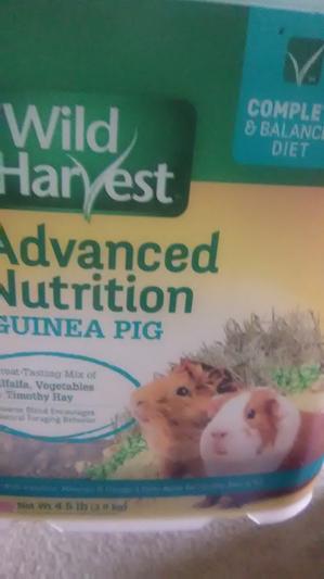 Wild harvest guinea outlet pig advanced nutrition diet