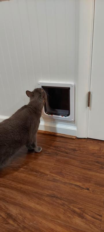 Cat Mate 221: The Perfect Cat Door for Big Cats and Small Dogs