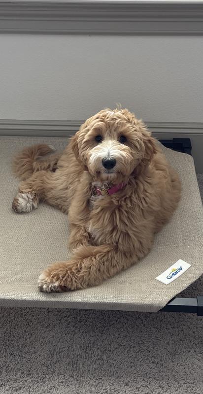 “Proof is in the fluff ”