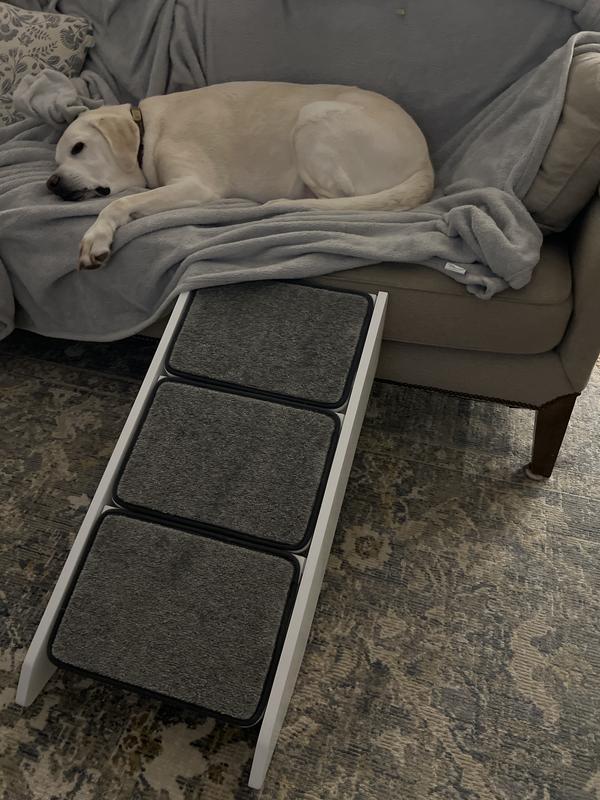 PetSafe CozyUp Dog & Cat Steps & Ramp