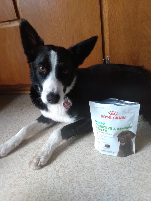 Em with her favorite supplement snack!