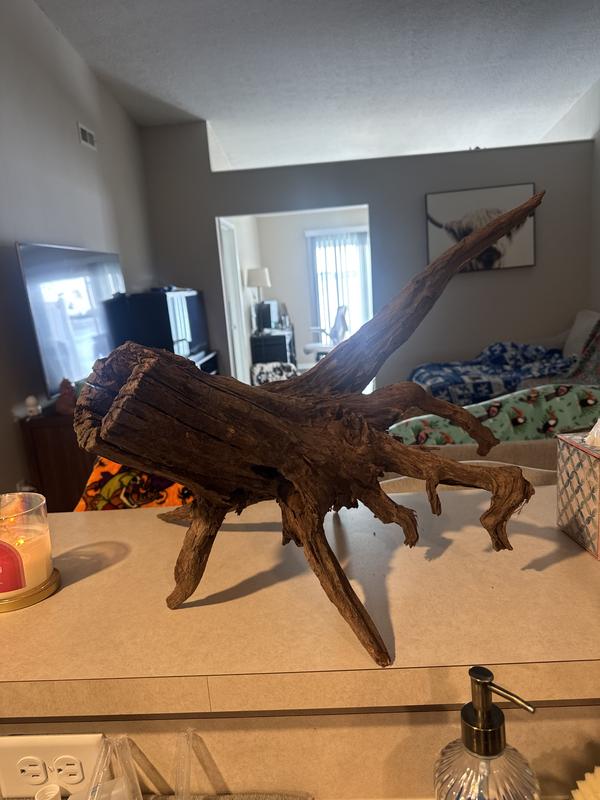 Large Size