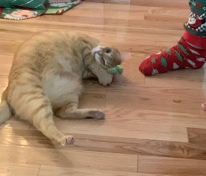 Rubbing it all over his face!