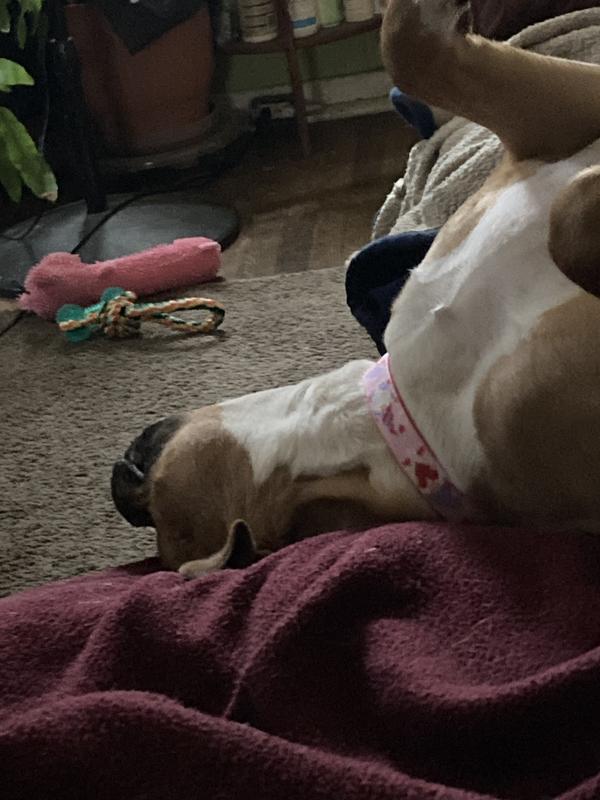 “I’m so pretty in pink!”