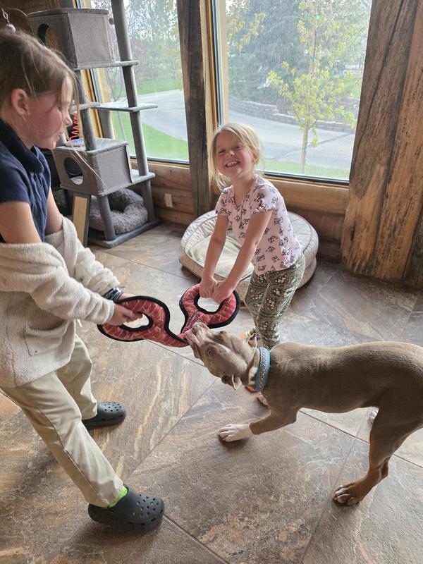 Keeps everyone entertained!