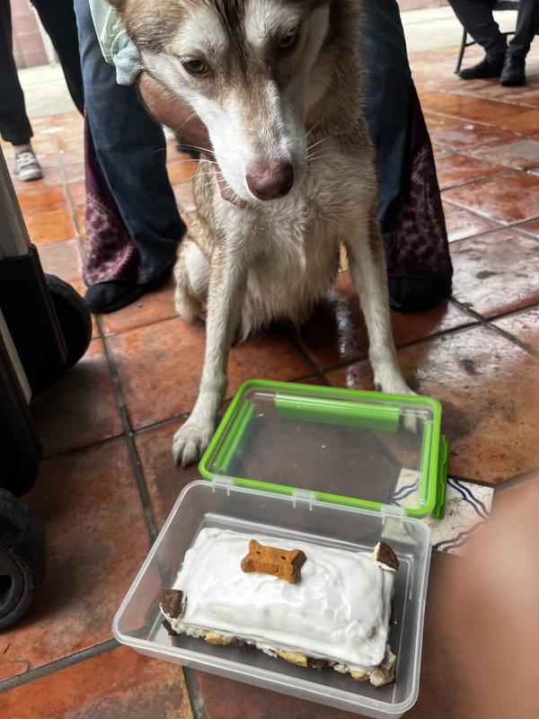 She couldn’t wait to dig in!
