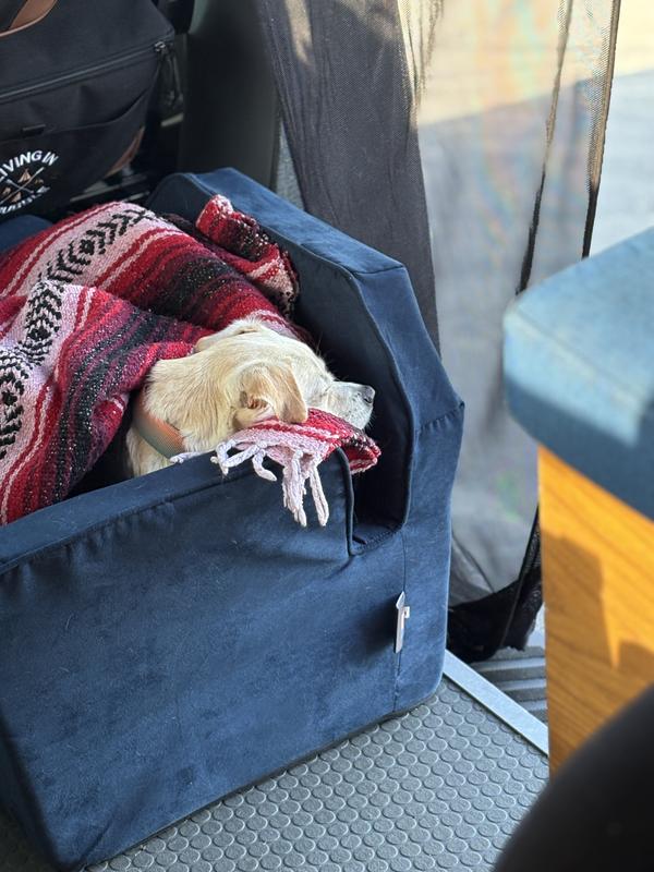 Chilo is all snuggled up at the beach