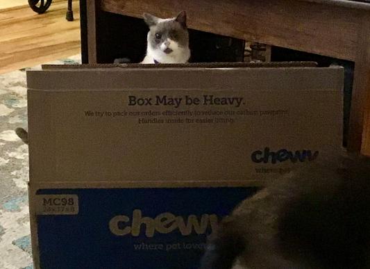 We Love Our Chewy Box!..