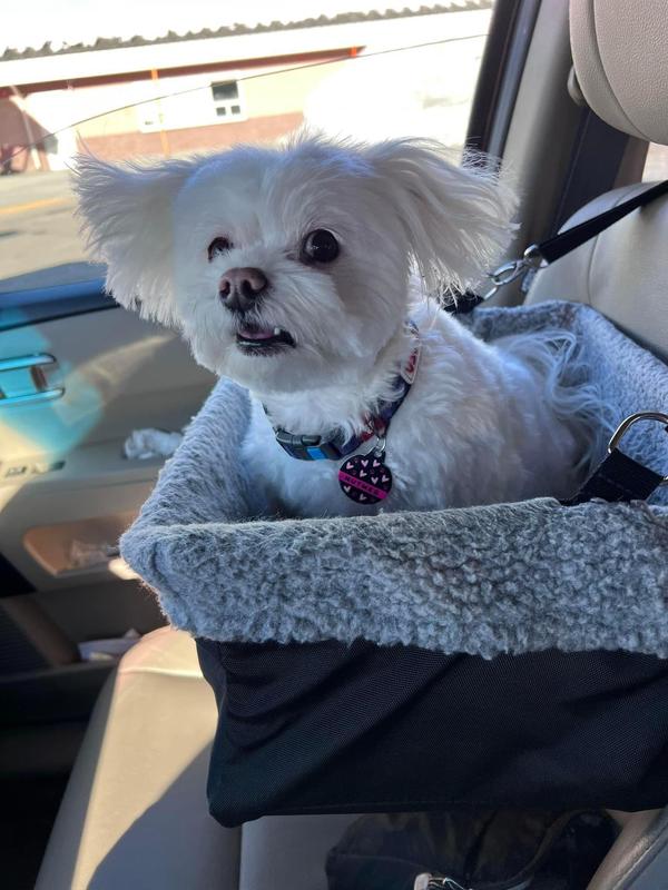 ROYAL CANIN VETERINARY DIET Adult Ultamino Dry Dog Food, 8.8lb bag