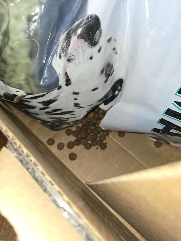 Dog food pouring out