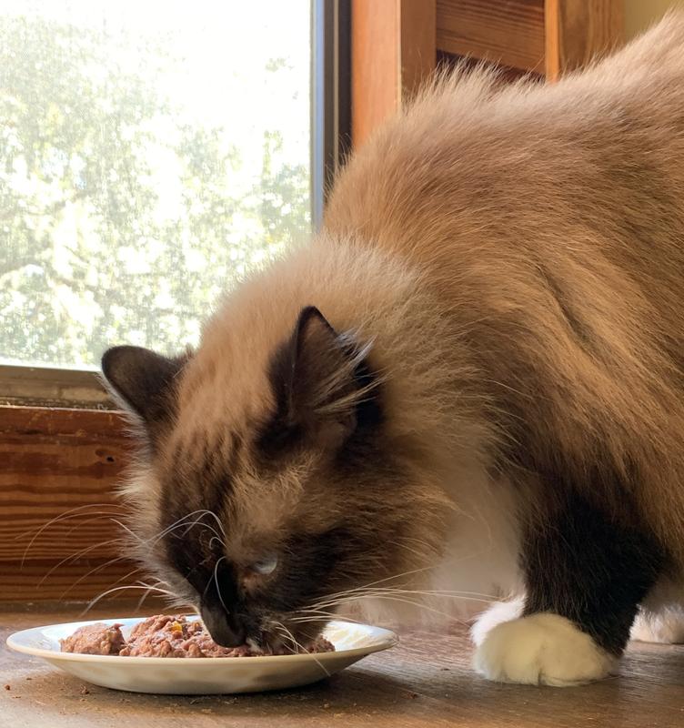 So yummy, do not disturb.