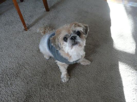 My 15 year old baby Luca