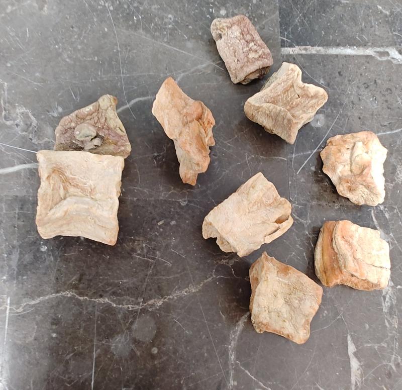 The chunks/cubes used to be solid orange. They looked and smelled like sweet potato. This bag was all white and after getting some in yet another bag that were moldy, I'm really afraid of these.