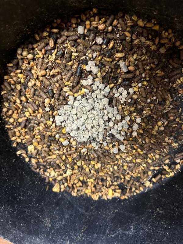 GRAND MEADOWS Calm Pellets Horse Supplement reviews