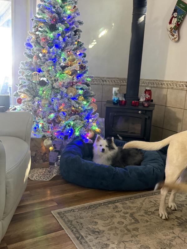 I think I’m in charge