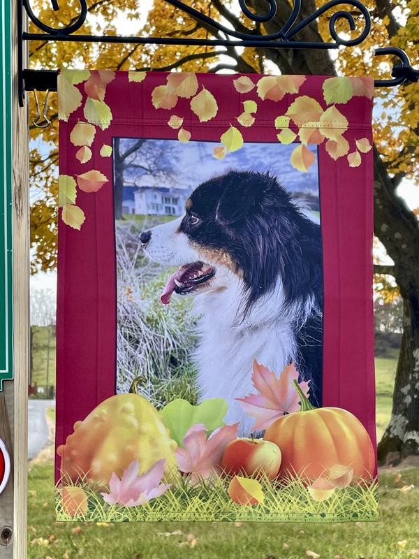 Great fall flag for our mailbox