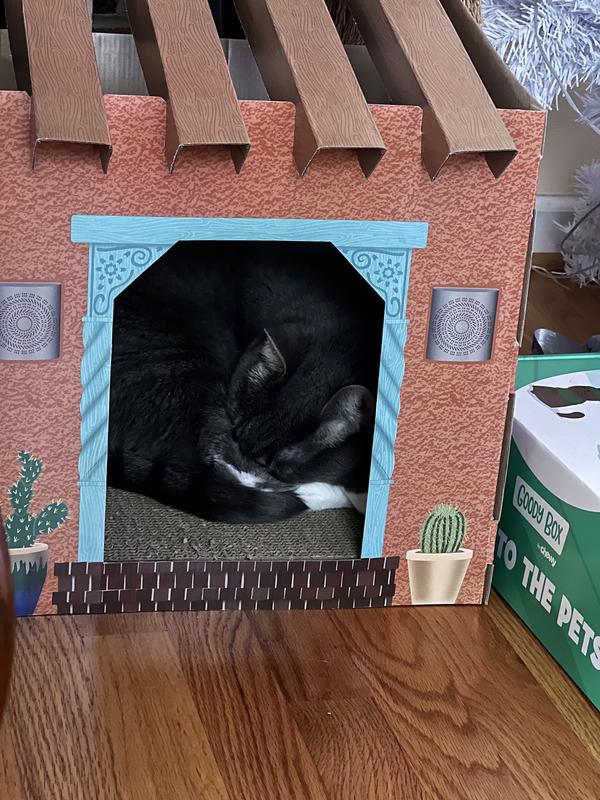 Discontinued FRISCO Southwestern House Cardboard Cat House